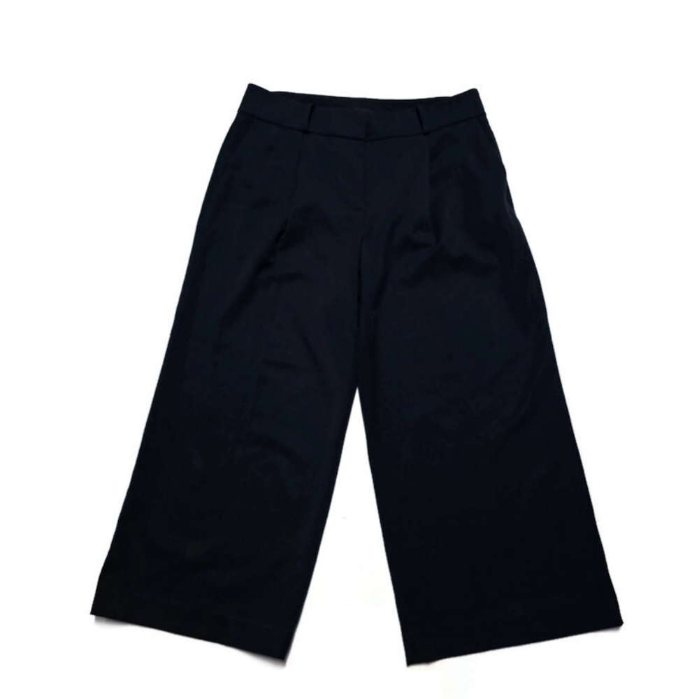 Ann Taylor Factory Navy Wide Leg Crop Pleated Dress Pants sz 10